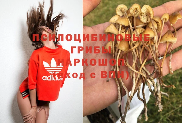 гидропоника Алексеевка