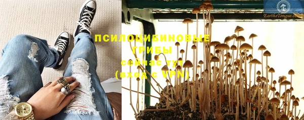 СК Алзамай